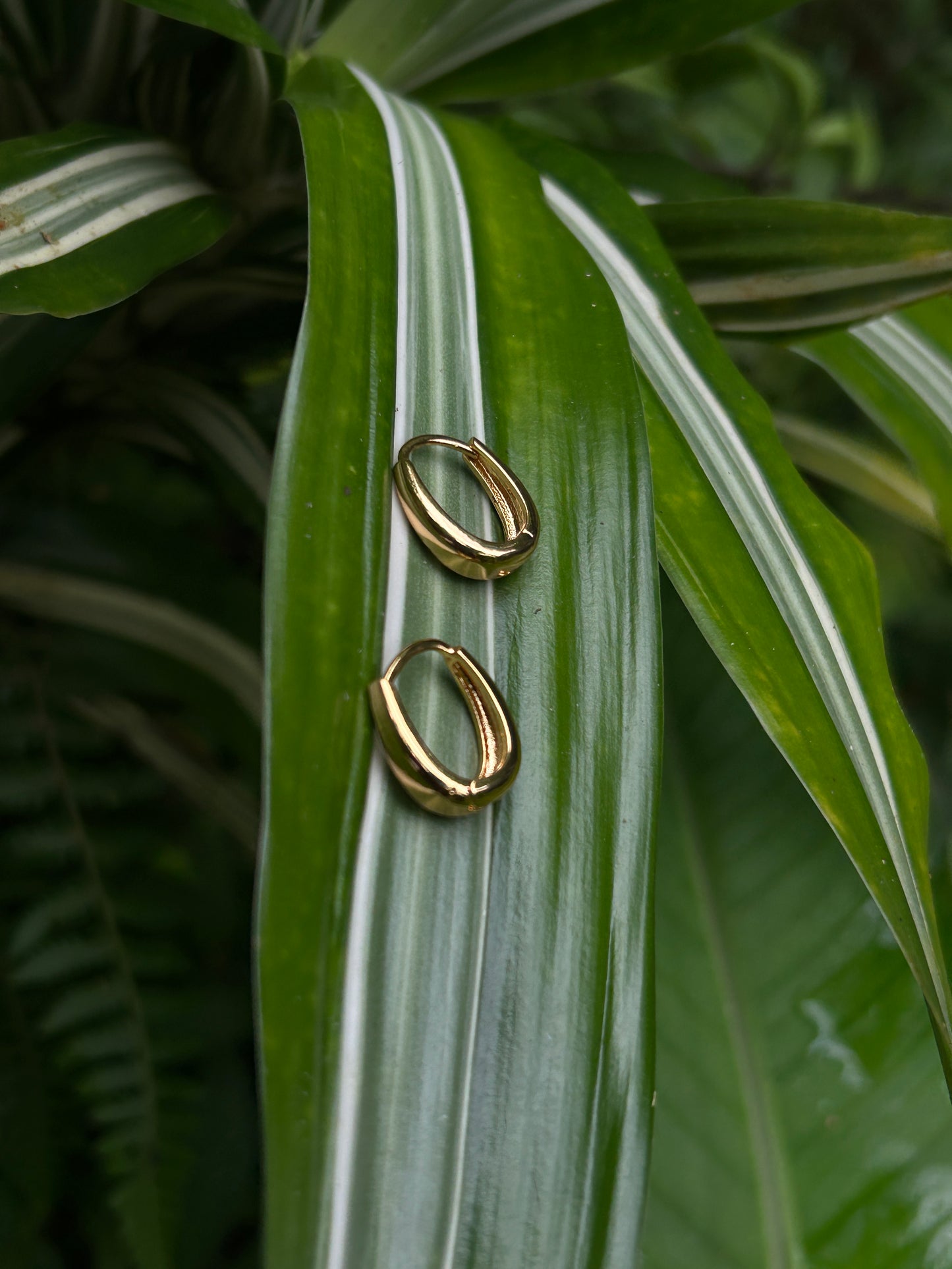 Earring Oerla Hoops